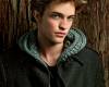 <b>Название: </b>robert-pattinson-tree, <b>Добавил:<b> homyasha<br>Размеры: 300x400, 169.1 Кб